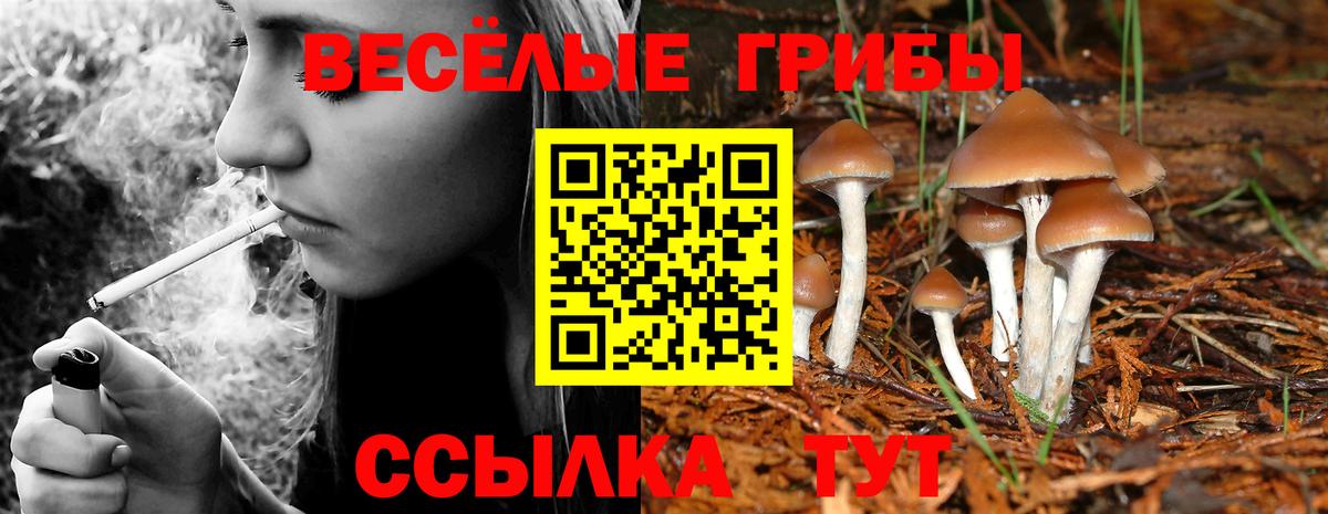 закладка  Галлюциногенные грибы мухоморы  Вход с VPN  Энгельс  Псилоцибиновые грибы GOLDEN TEACHER 
