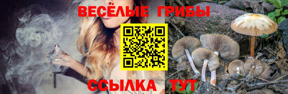 Галлюциногенные грибы Magic Shrooms Энгельс